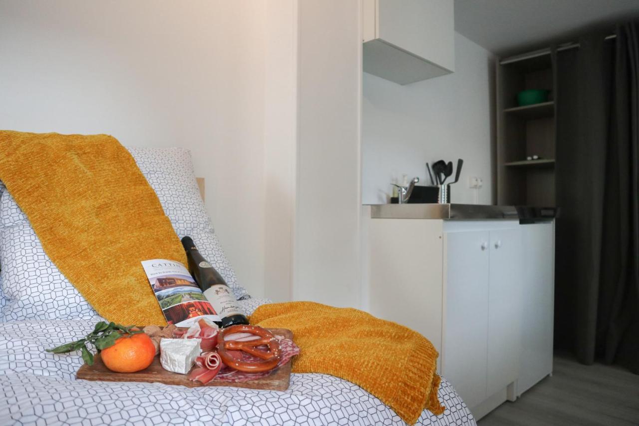 Le Domaine Mulhousien Apartment Mulhouse Bagian luar foto